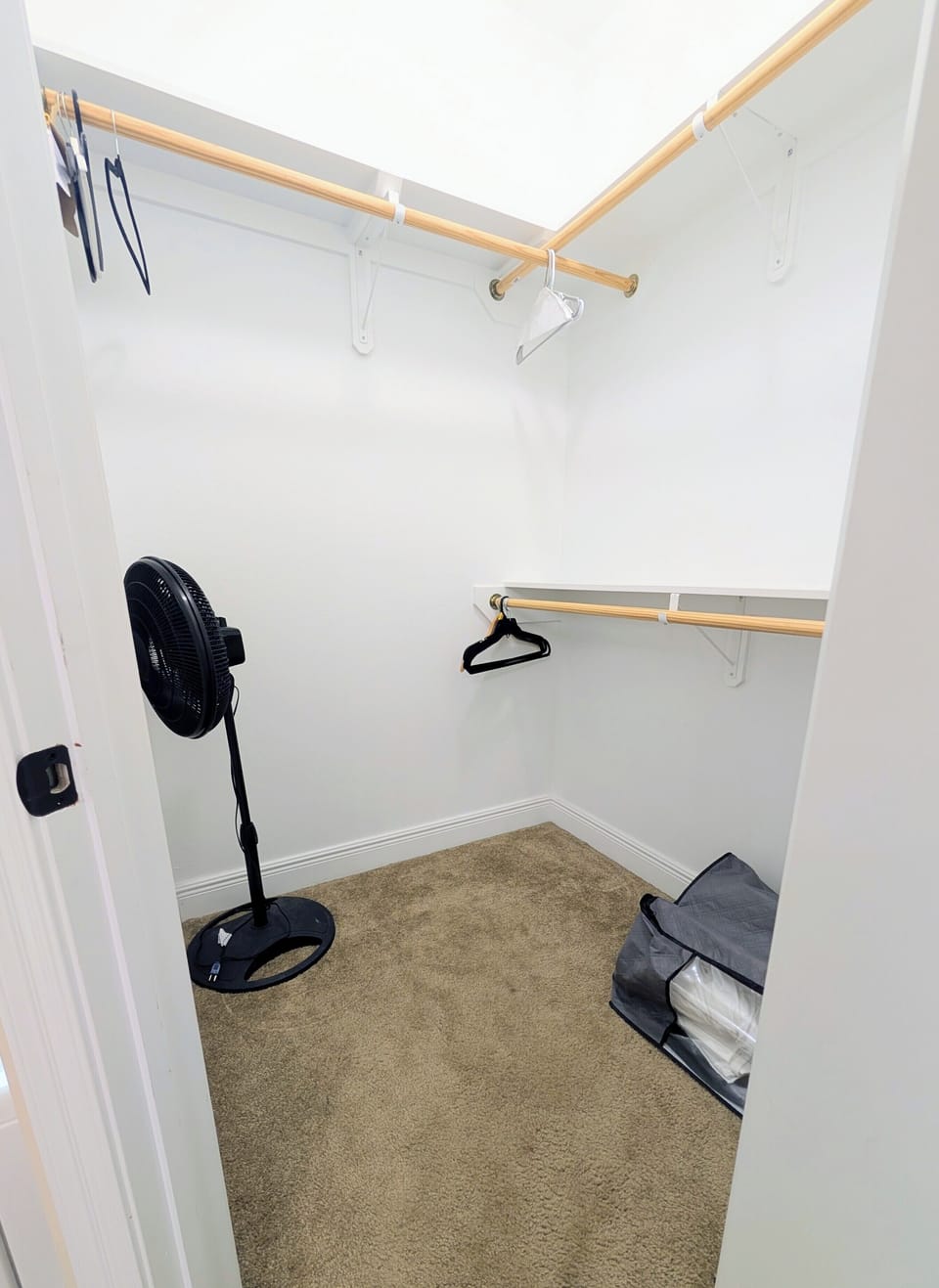 Master bathroom walk-in closet #1