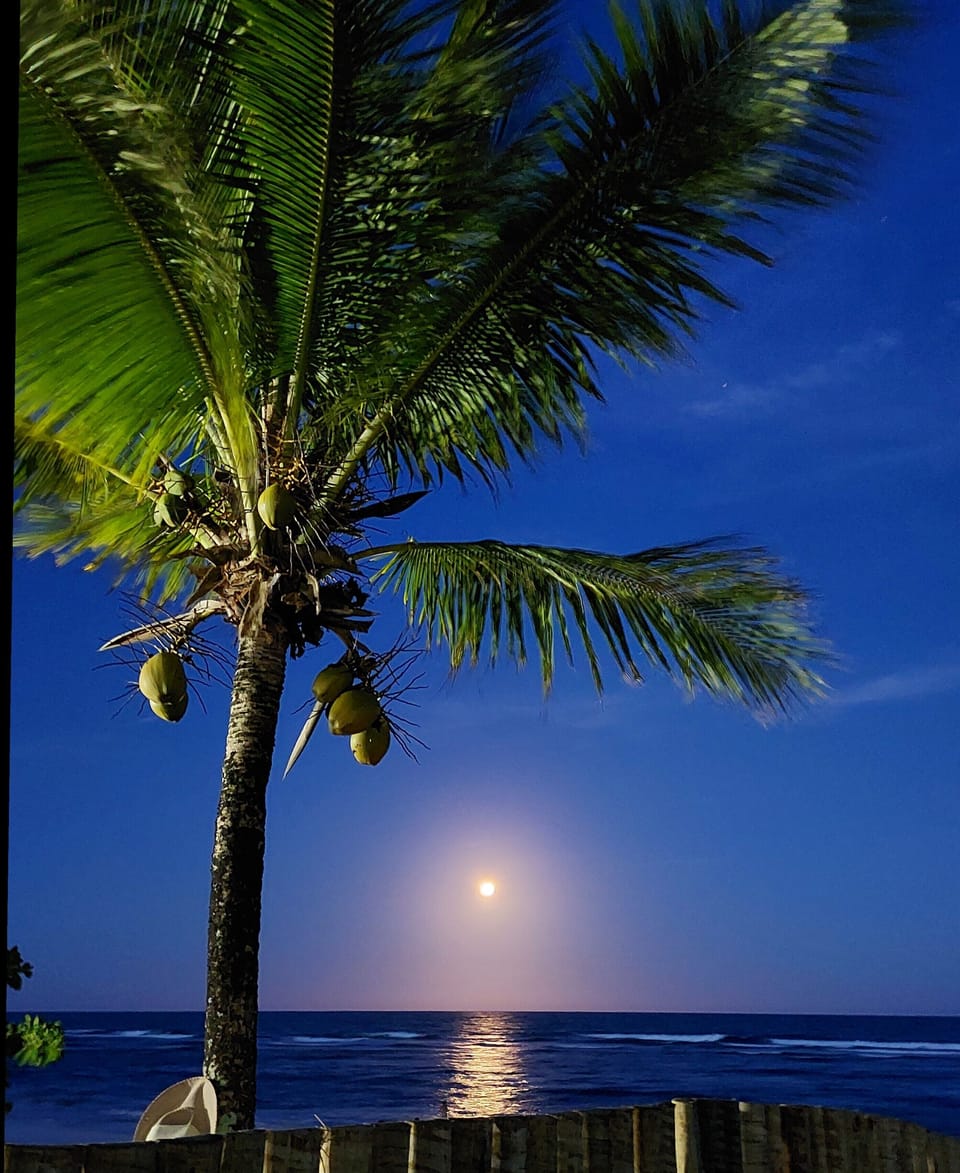 Beach nearby, white sand