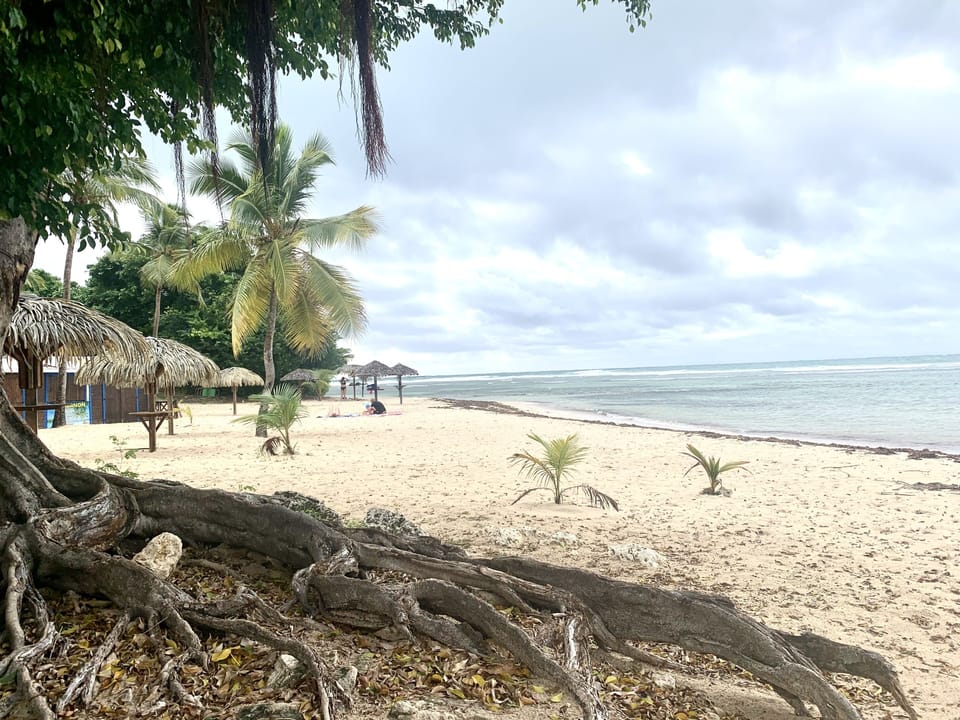 Beach