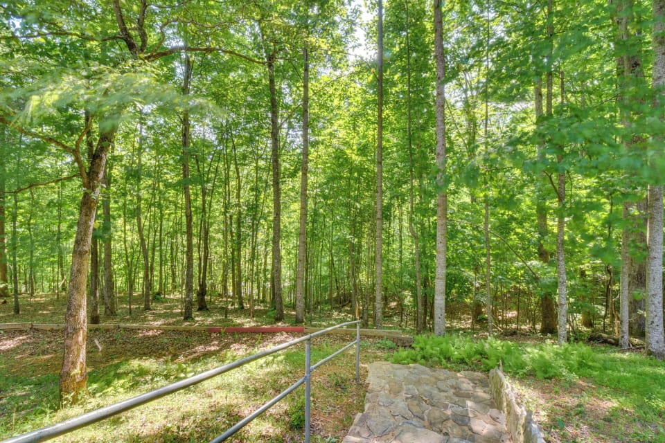 Wooded Views