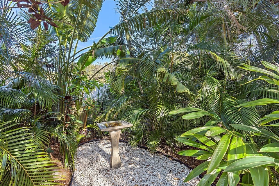 Fully fenced back yard and tropical garden. Butterflies and hummingbirds!
