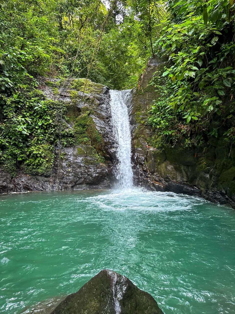 Uvita Waterfall is a short ~5 minute drive away.