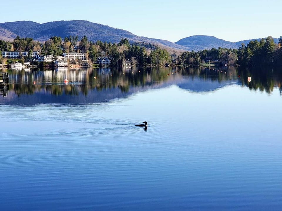Loon alert!Across the street from Mirror Lake, gorgeous views in every direction