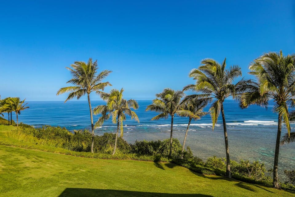 Step outside to enjoy unobstructed views of lush palms, coastal cliffs, and the endless ocean beyond.