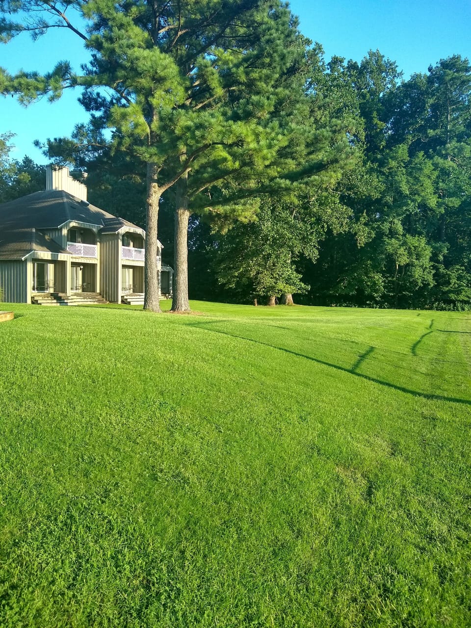 Paradise by Busch Gardens, walk to beach! Lovely large 3bedroom/3 full bathrooms Apartment in Virginia