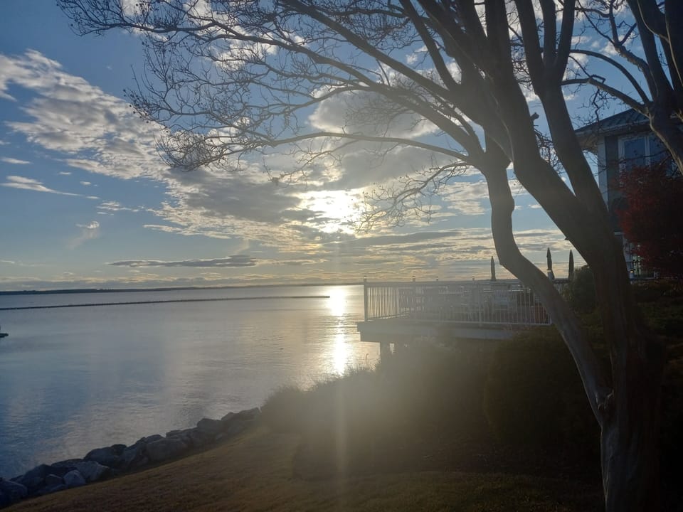 Paradise by Busch Gardens, walk to beach! Lovely large 3bedroom/3 full bathrooms Apartment in Virginia