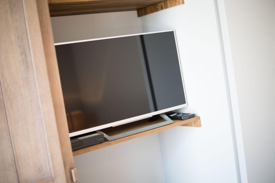 Television