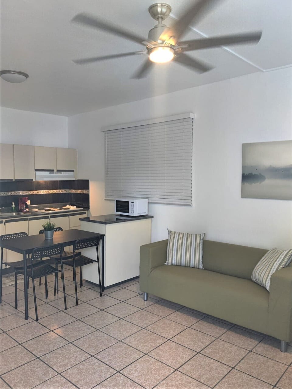 Living room and kitchen