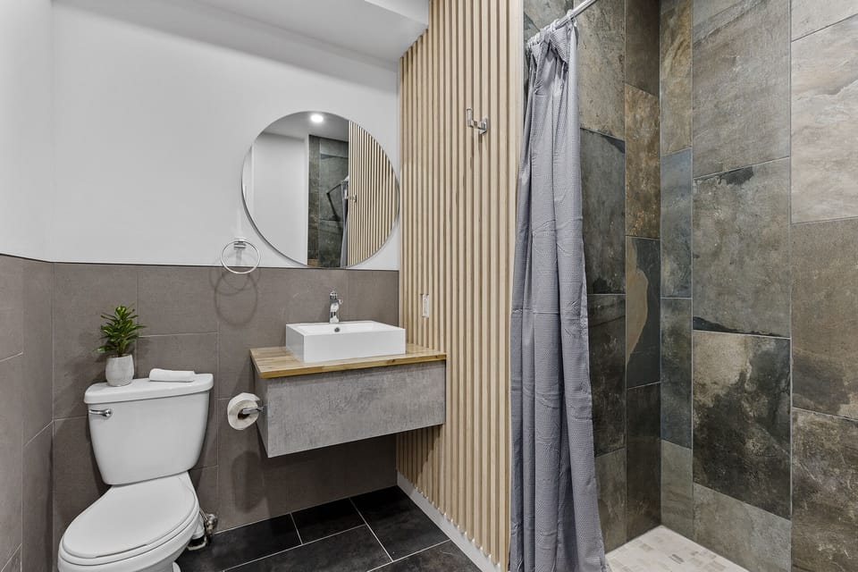 Deluxe Room | Bathroom | Free toiletries, hair dryer, towels, soap