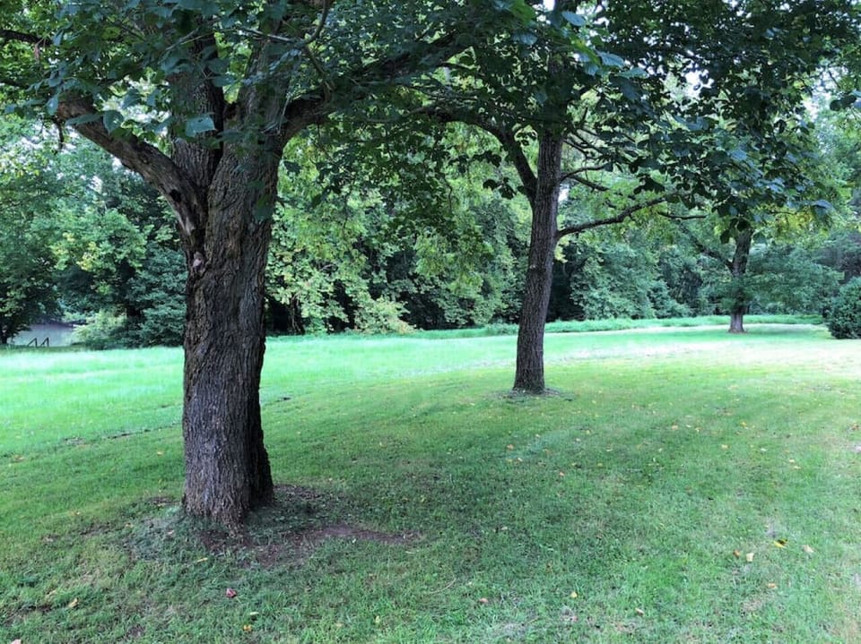 Entrance view