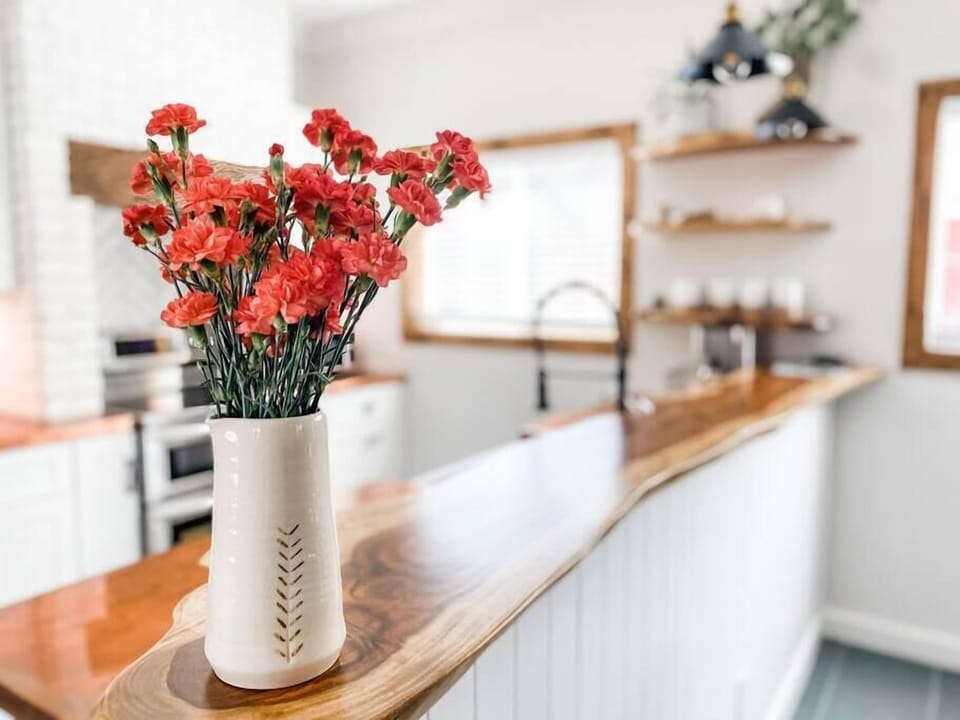 The kitchen bar-top.