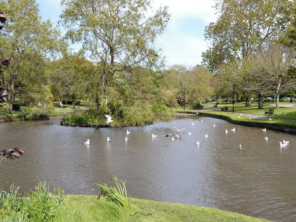 Newquay Gardens | Newquay, Cornwall