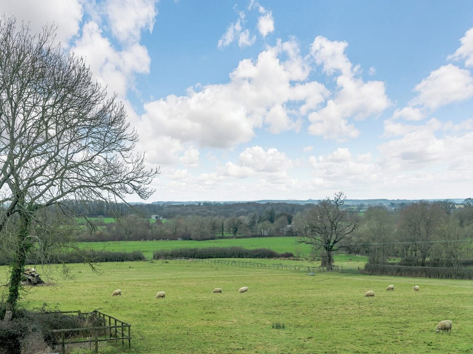 View | The Studio, Ibberton, Blandford Forum