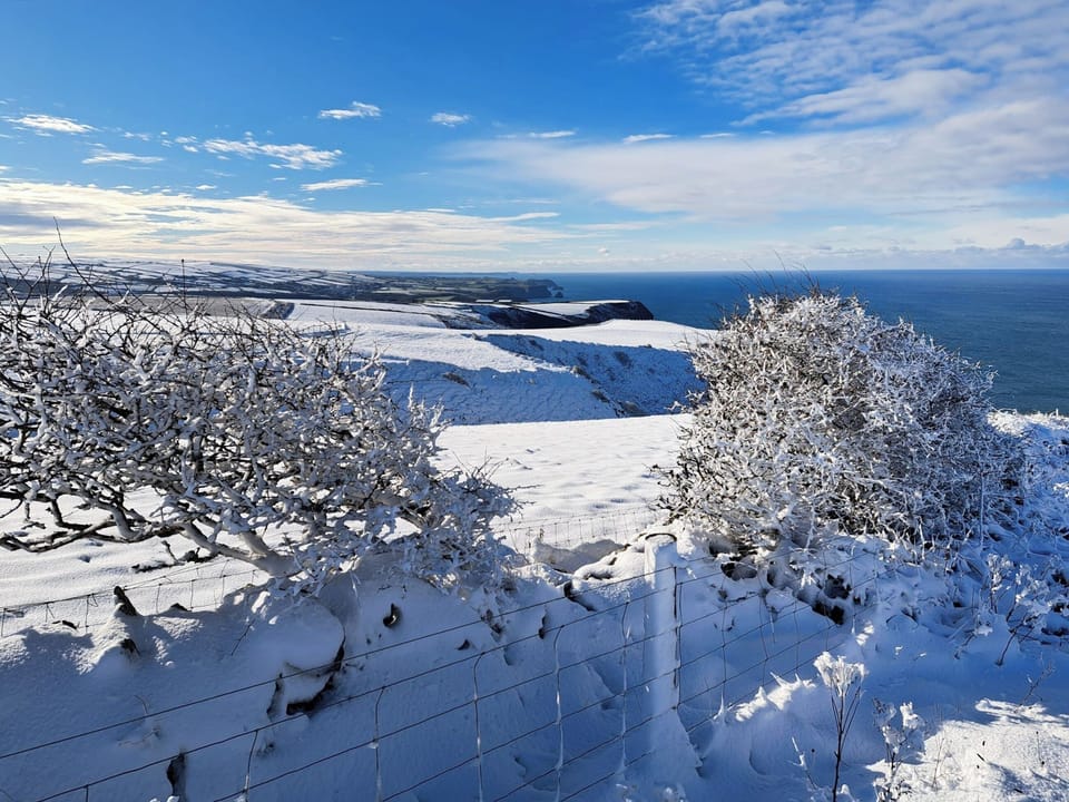 Snow on the coast | Appleloft, Pencuke, near Bude