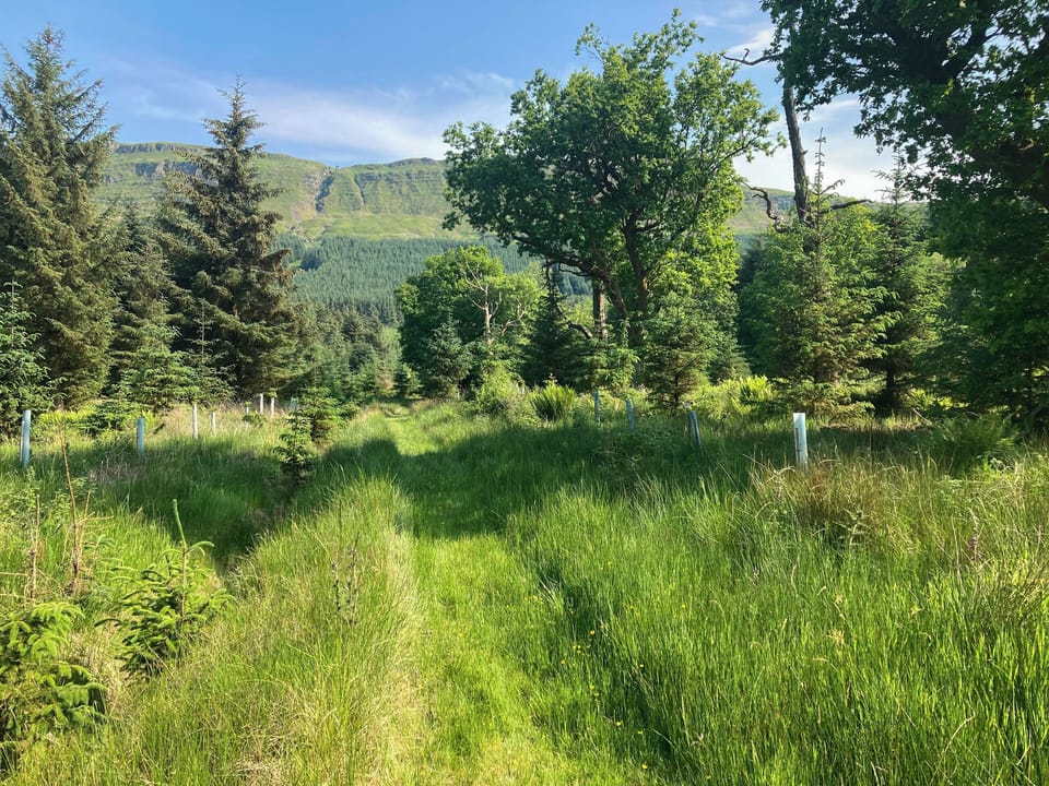 View from property | Garrique Cottage, By Kippen, near Stirling
