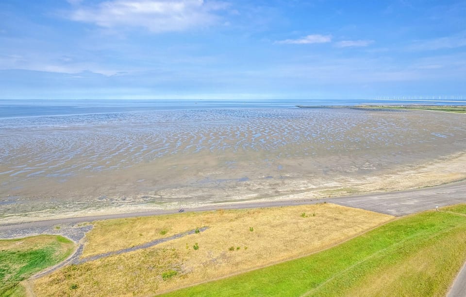area