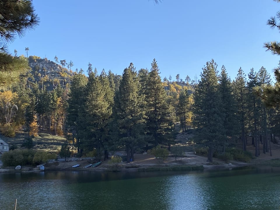 Amazing view of the lake from the cabin