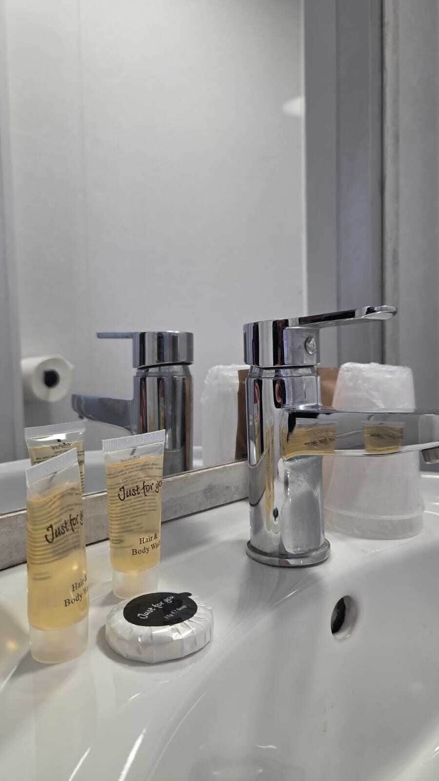Combined shower/tub, free toiletries, hair dryer, towels
