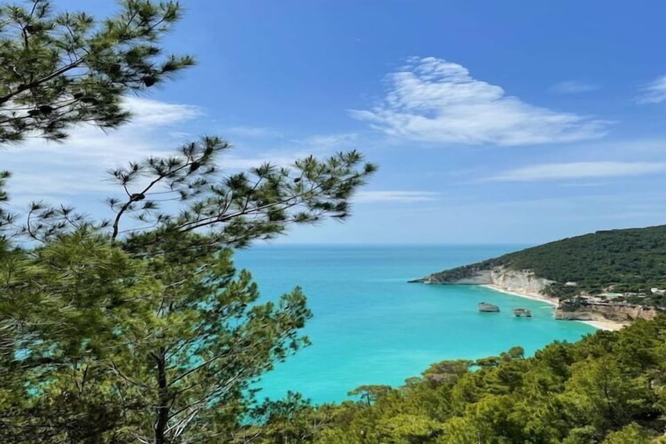 Region [summer] (>5 km)