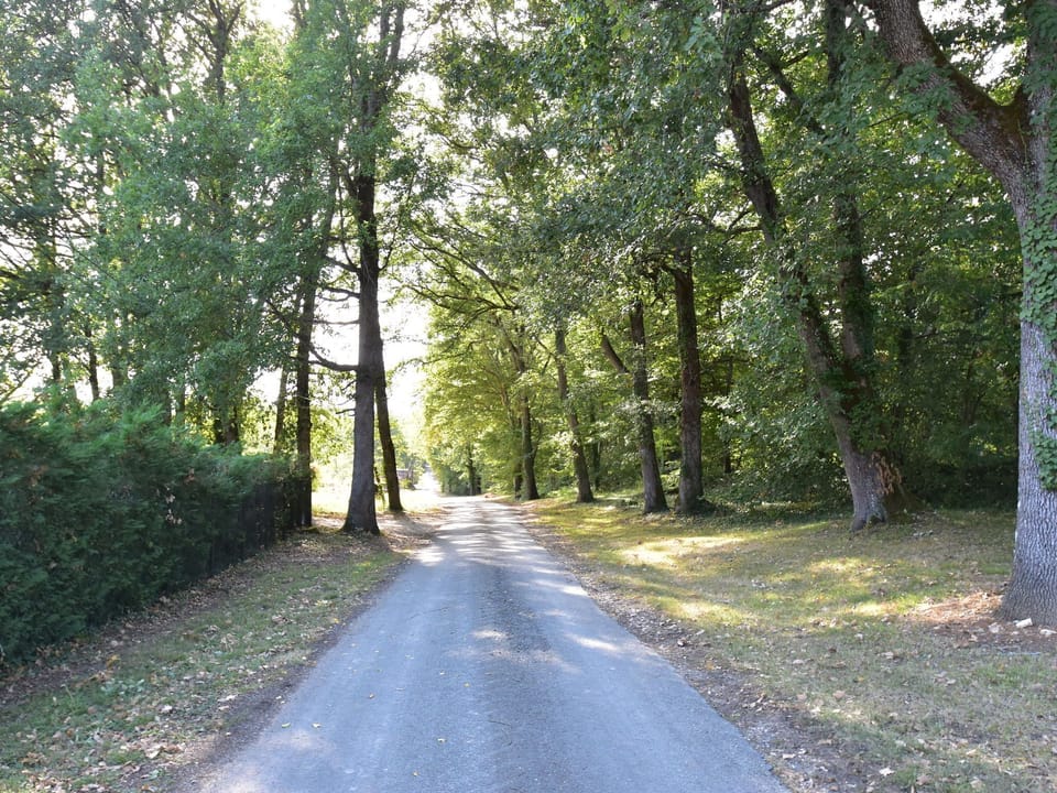 Immediate Surroundings [summer] (<1 km)