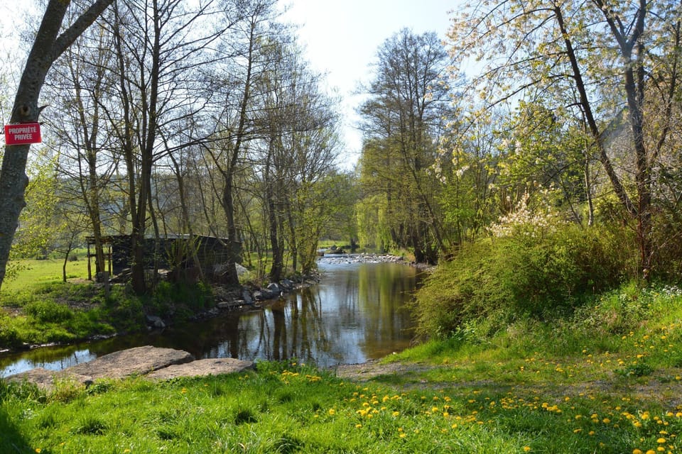 Region [summer] (>5 km)