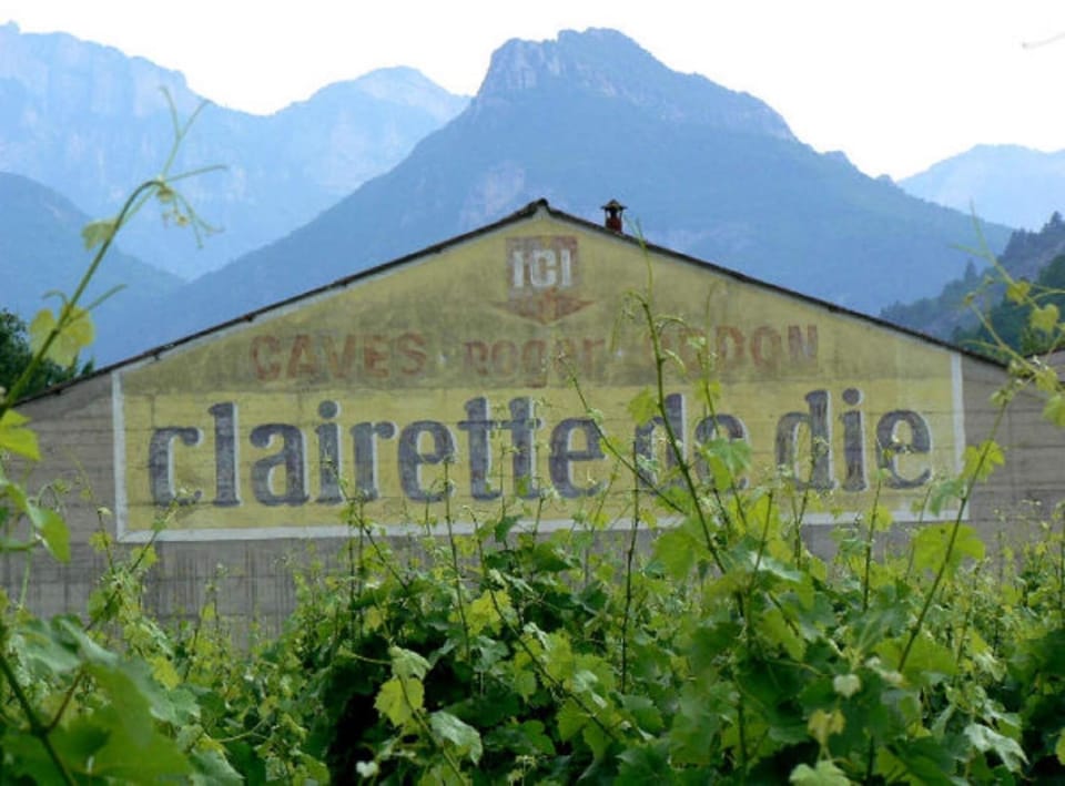 Region [summer] (>5 km)