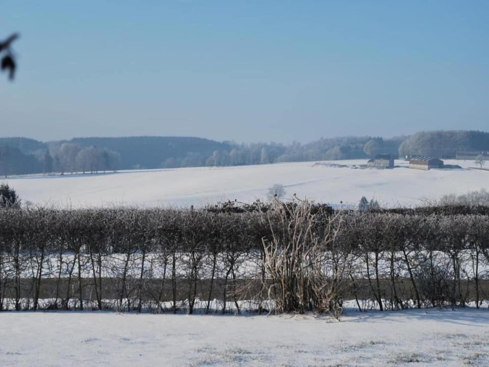 Region [winter] (>5 km)