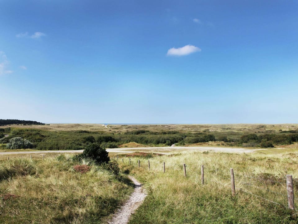 Surroundings [summer] (1-5 km)