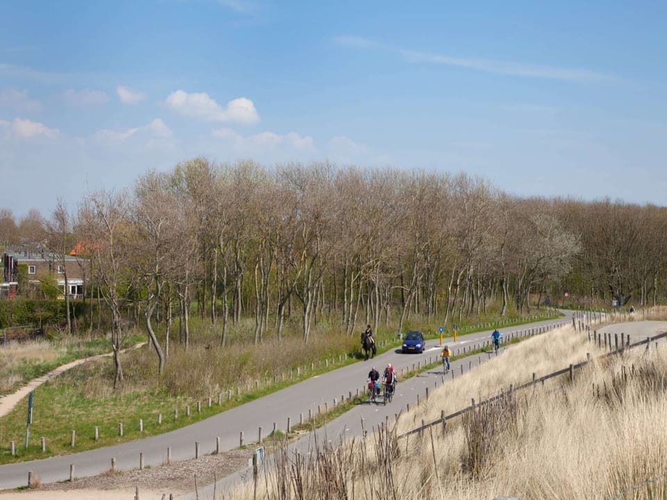 Immediate Surroundings [summer] (<1 km)
