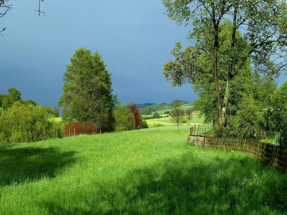 Region [summer] (>5 km)