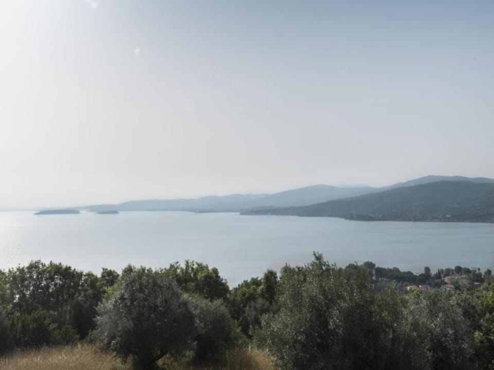 Region [summer] (>5 km)