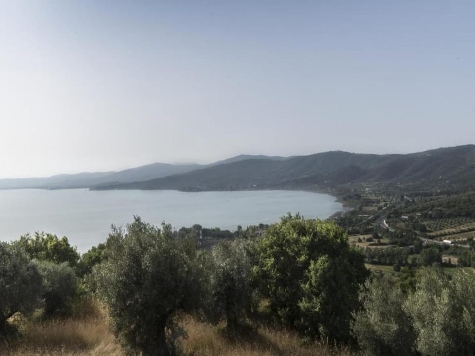 Region [summer] (>5 km)