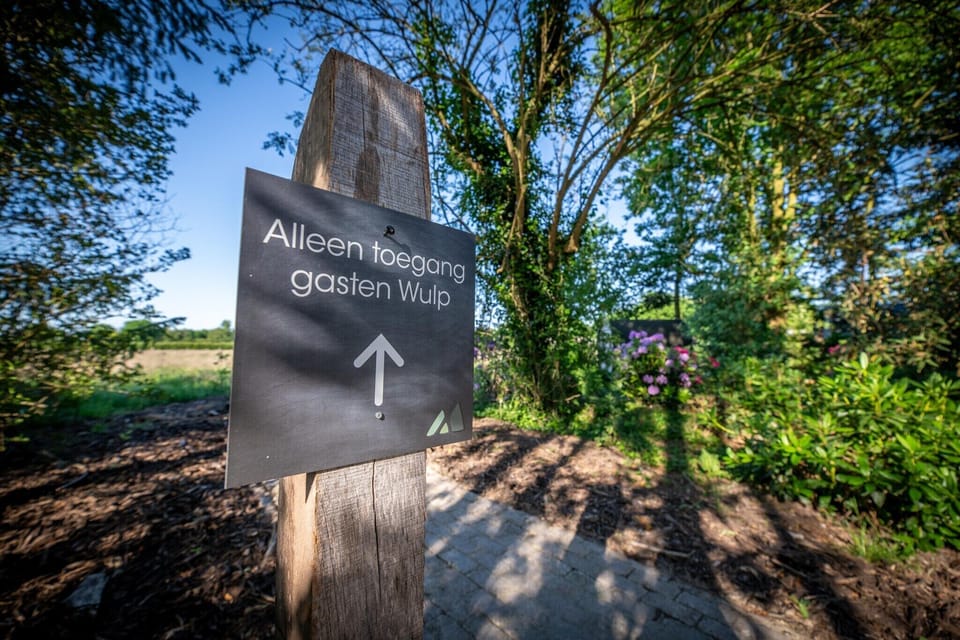 Ambiance / Close-up