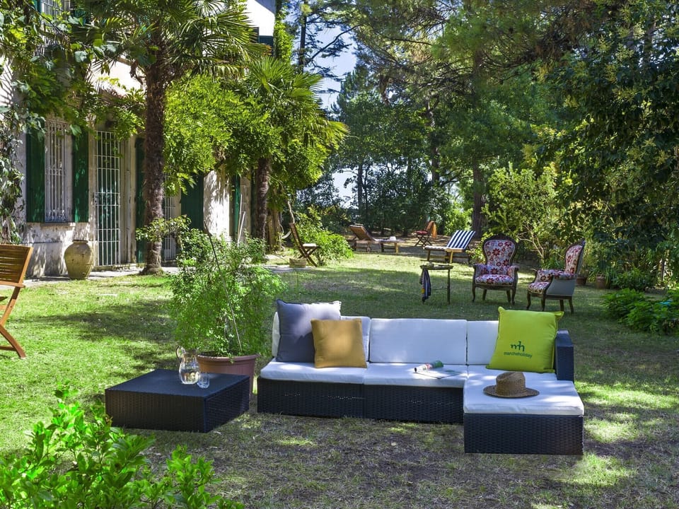 Garden [summer]