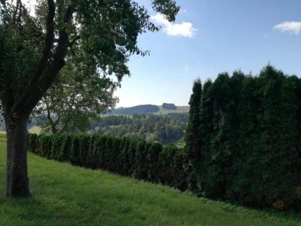 Surroundings [summer] (1-5 km)