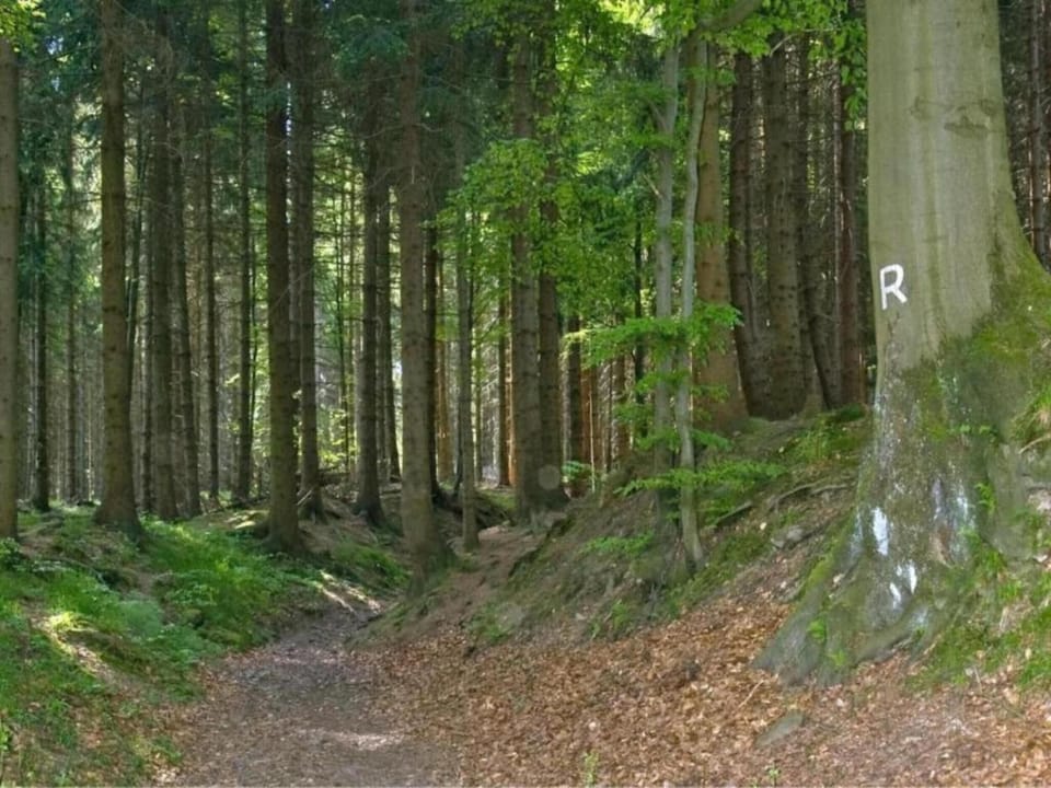 Surroundings [summer] (1-5 km)