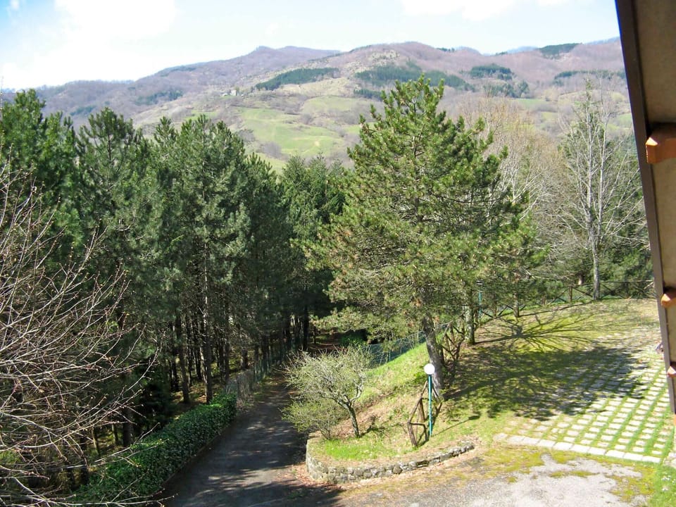 View from Holiday Home [summer]