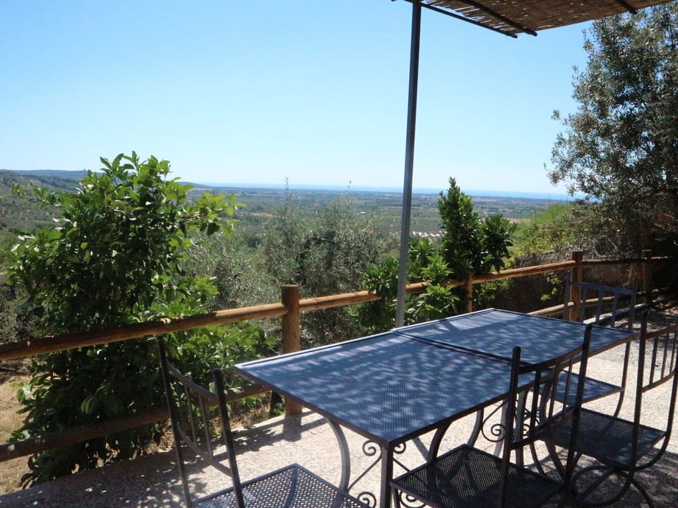 Patio / Balcony
