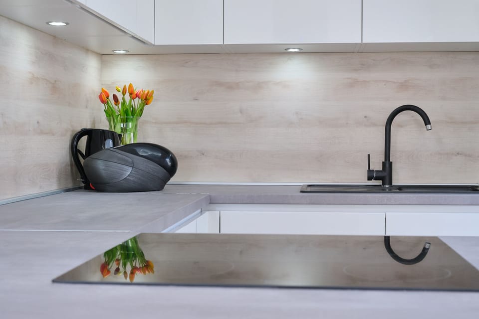 Full-size fridge, oven, stovetop, cookware/dishes/utensils
