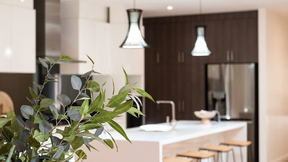 Stylish kitchen