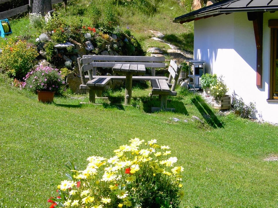 Garden [summer]
