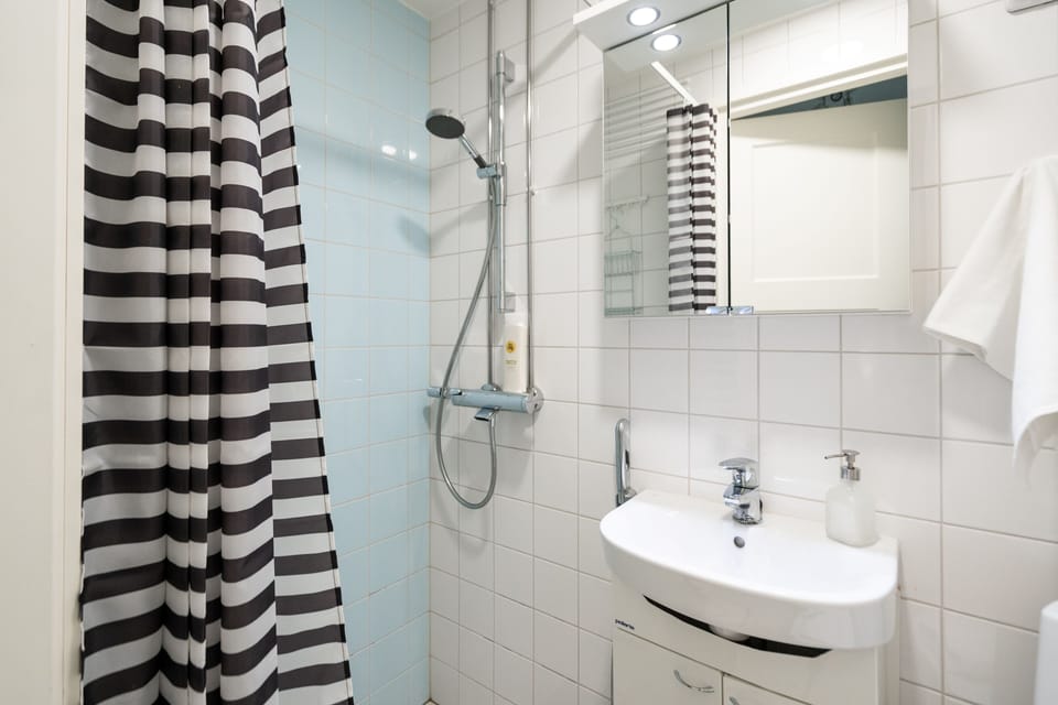 Apartment | Bathroom | Hair dryer, towels, toilet paper