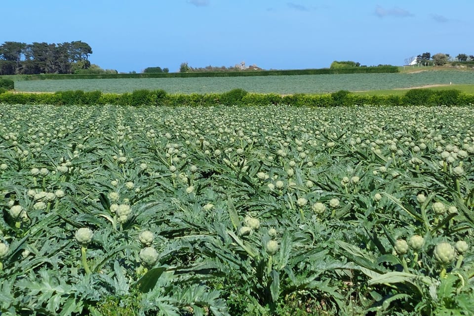 Surroundings [summer] (1-5 km)