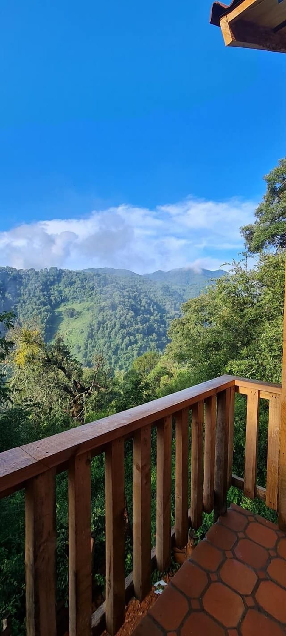 Mountain view