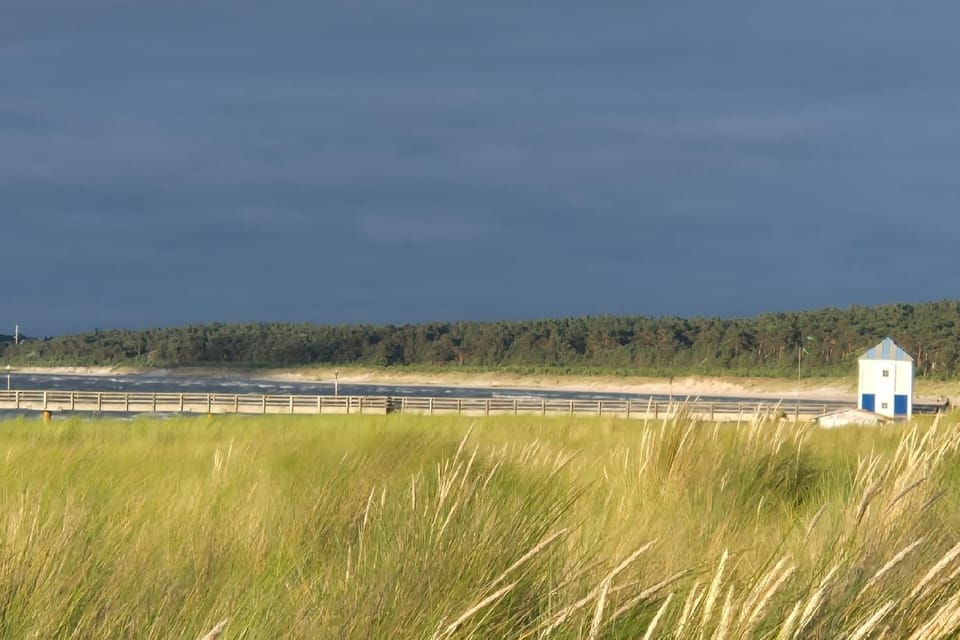 Immediate Surroundings [summer] (<1 km)