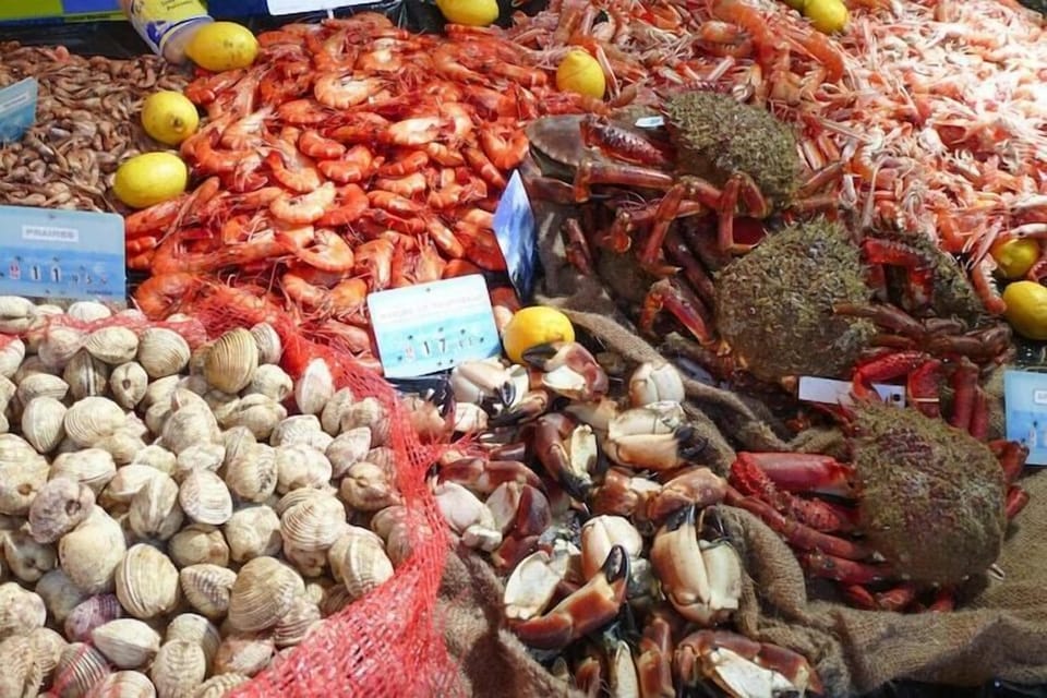 Region [summer] (>5 km)