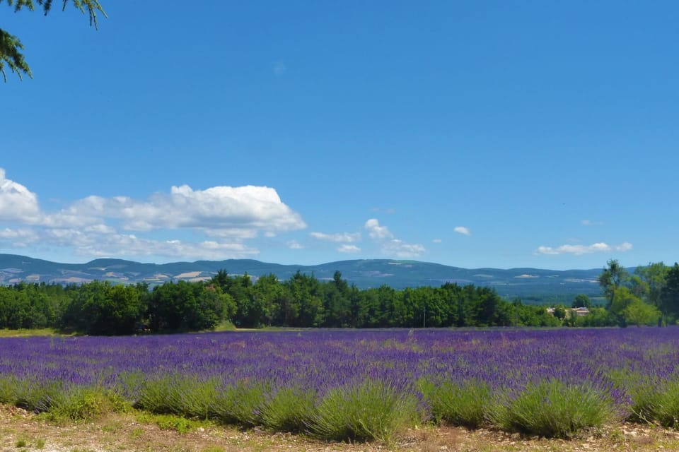 Region [summer] (>5 km)