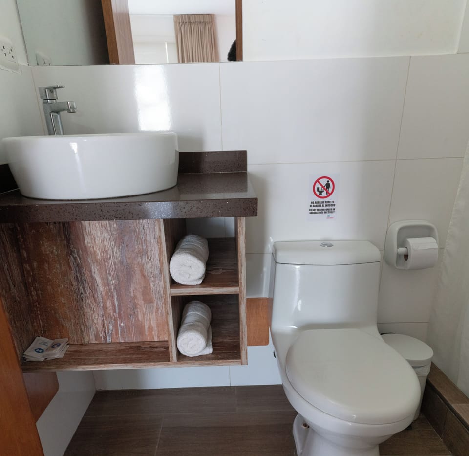 Shower, hair dryer (on request), towels, soap