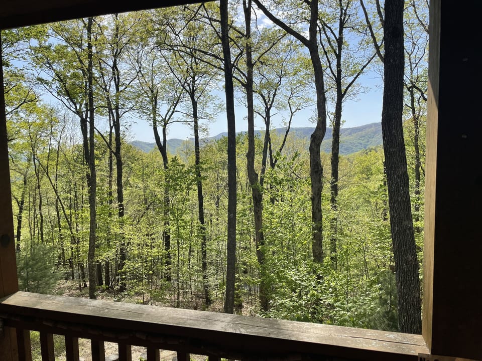 Deck view