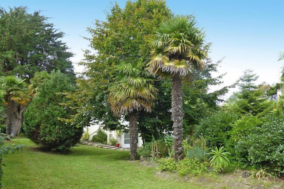 Garden [summer]
